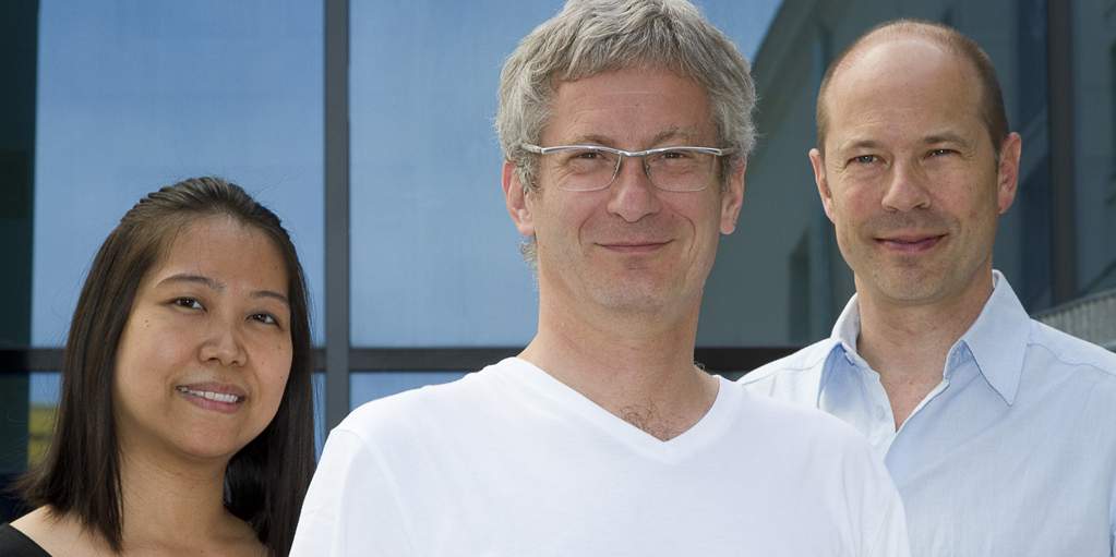 The research team at the Competence Center Dental Materials The research team at the Competence Center Dental Materials